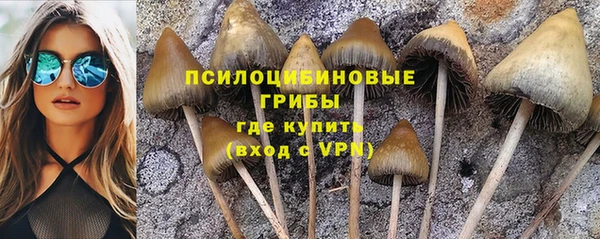 мяу мяу мука Алексин